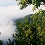 Thaneek Pura Places to visit in Una, Himachal Pradesh