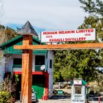 Kasauli Brewery and Distillery Tourism in Kasauli, Himachal Pradesh